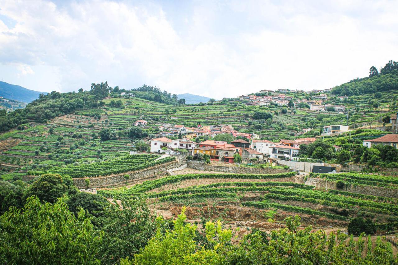 Casa Avos D'Ouro - Barqueiros, Mesao Frio, Douro Villa Kültér fotó