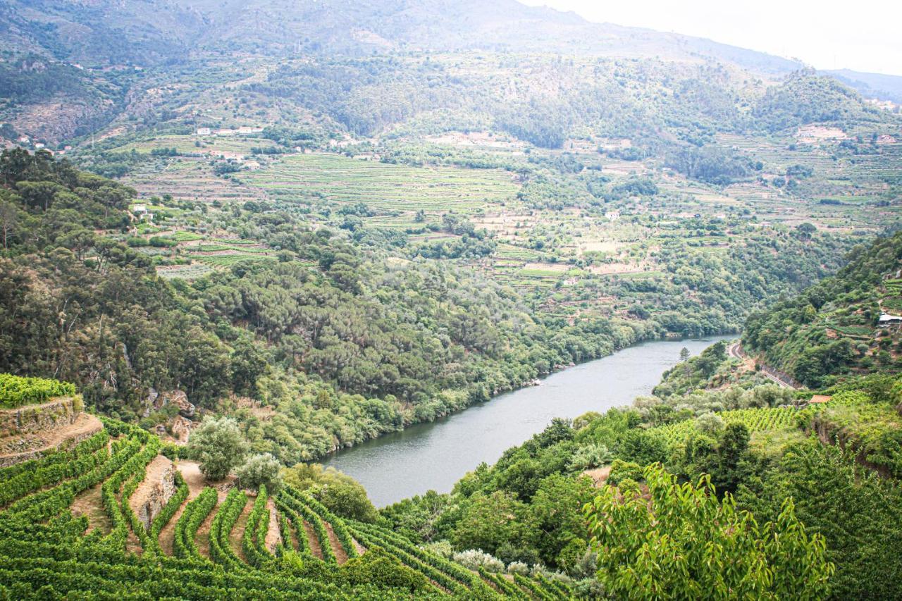 Casa Avos D'Ouro - Barqueiros, Mesao Frio, Douro Villa Kültér fotó